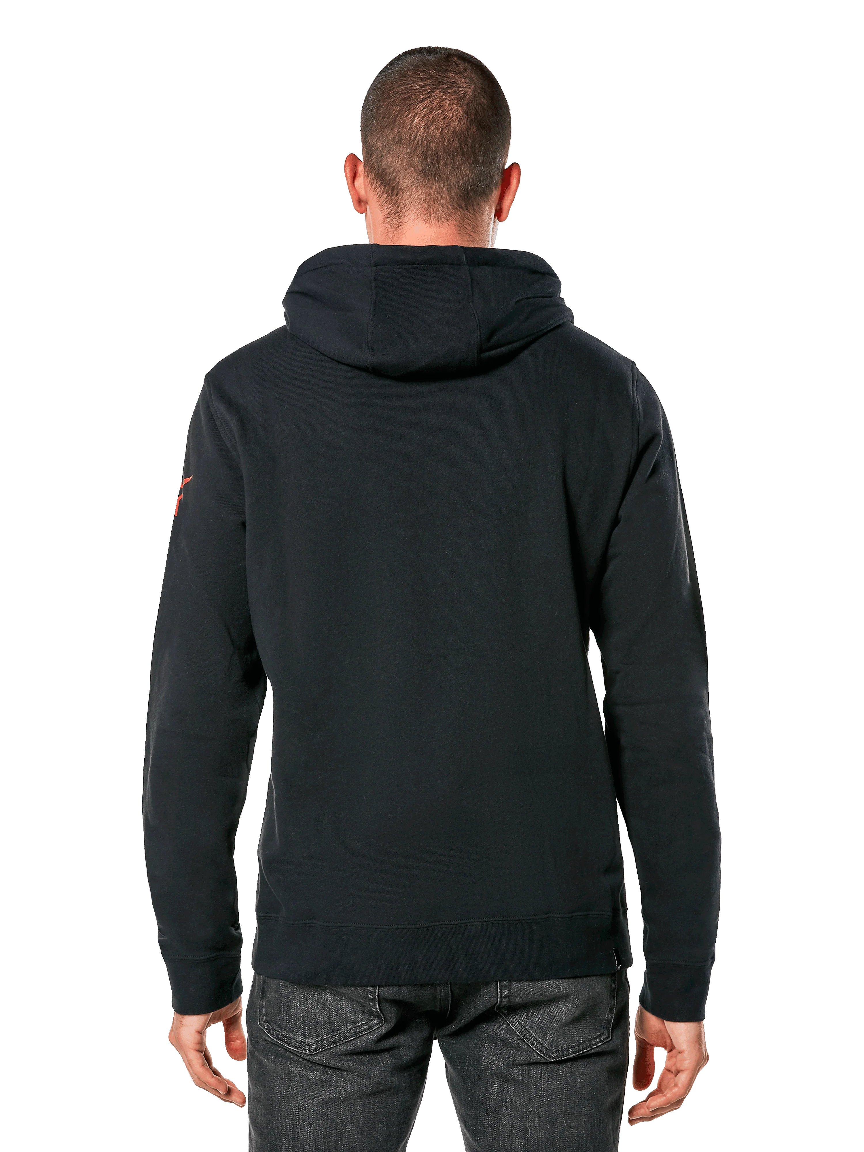 Linear Wordmark V3 Hoodie | Alpinestars