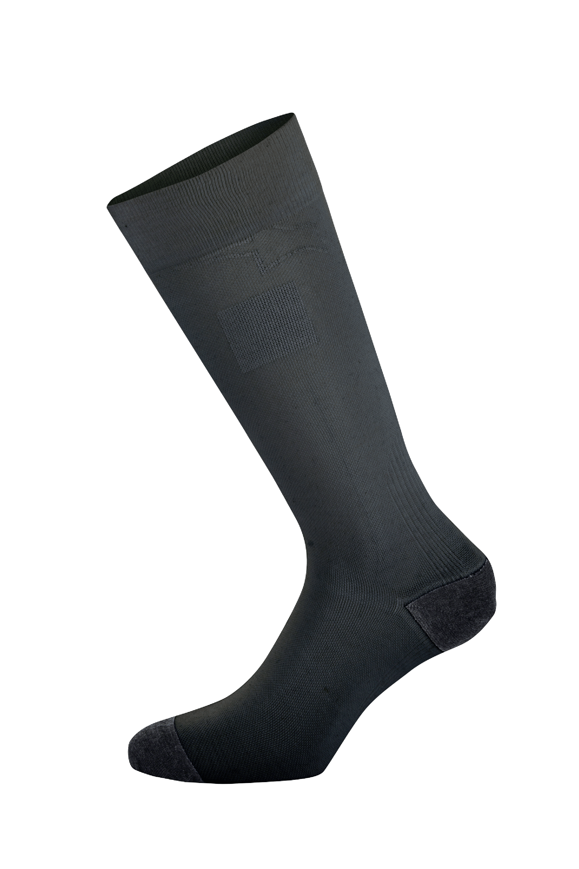 ZX V4 Socks Alpinestars
