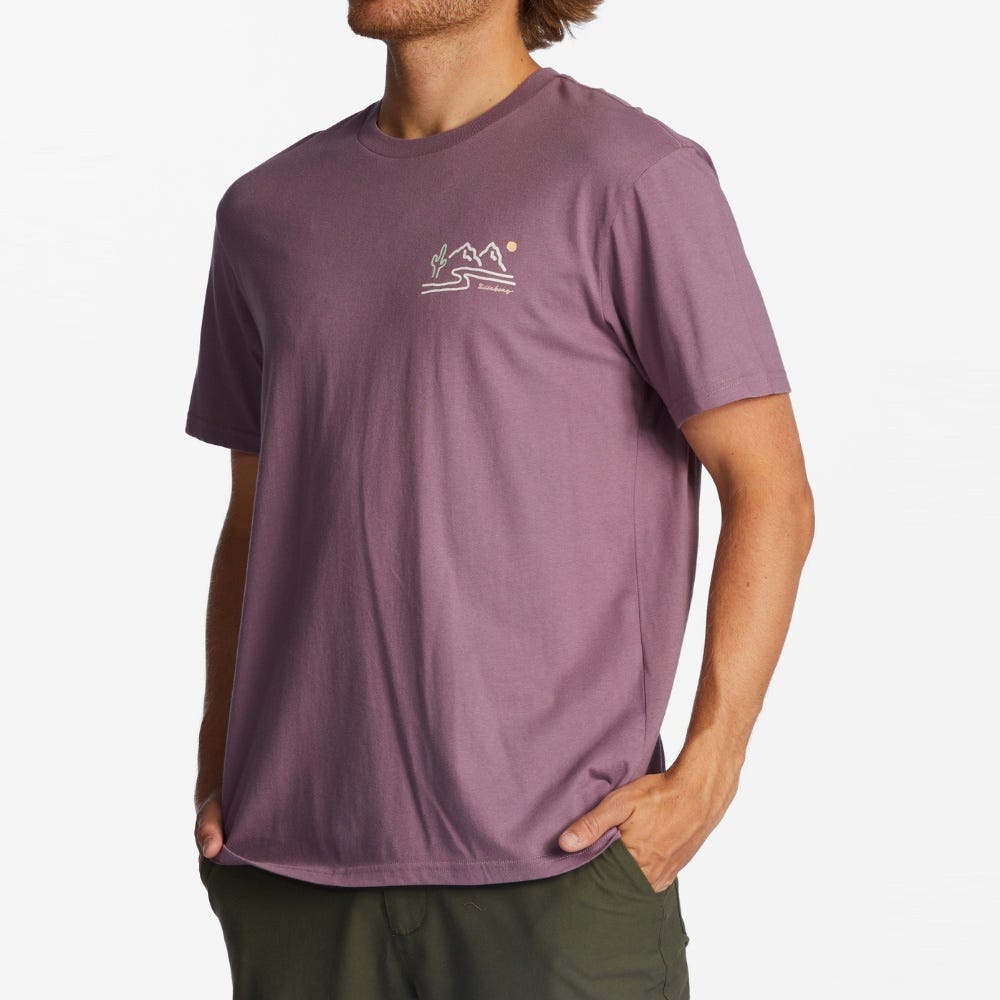 Billabong Mens Panorama Organic T-Shirt