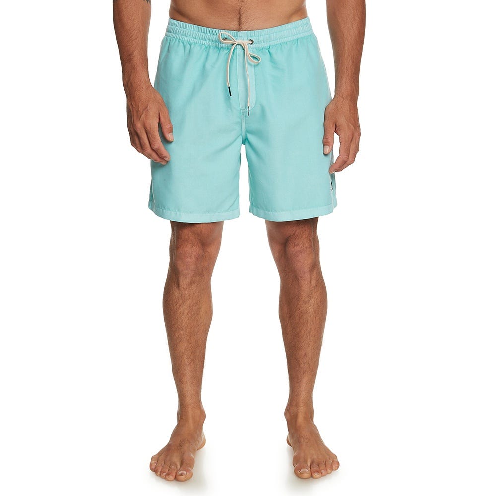 Quiksilver Mens Everyday Surfwash 17" Swim Shorts In Angel Blue