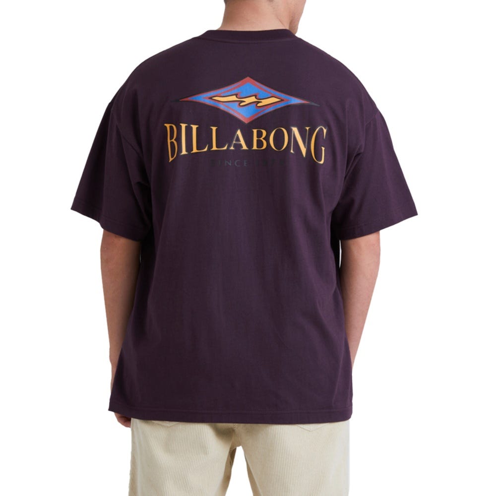 Billabong Mens Didge T-Shirt In Fig