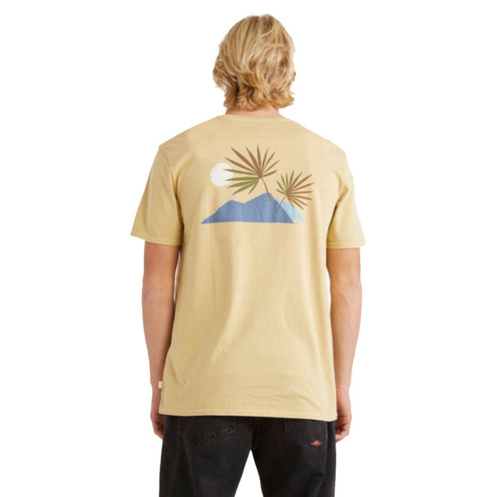Quiksilver Mens New Tribe T-Shirt In Taos Taupe