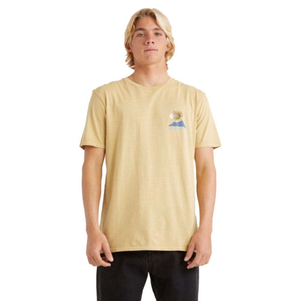 Quiksilver Mens New Tribe T-Shirt In Taos Taupe