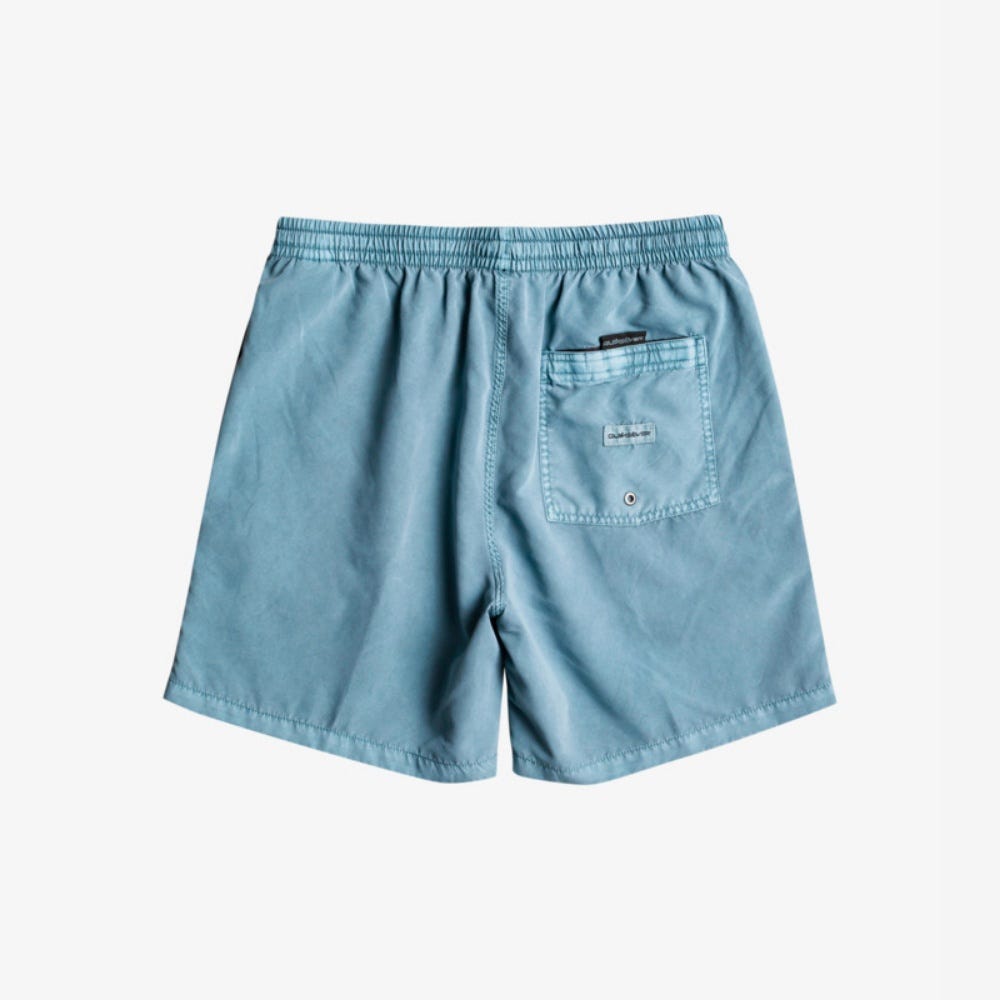 Quiksilver Mens Everyday Surfwash 17" Swim Shorts