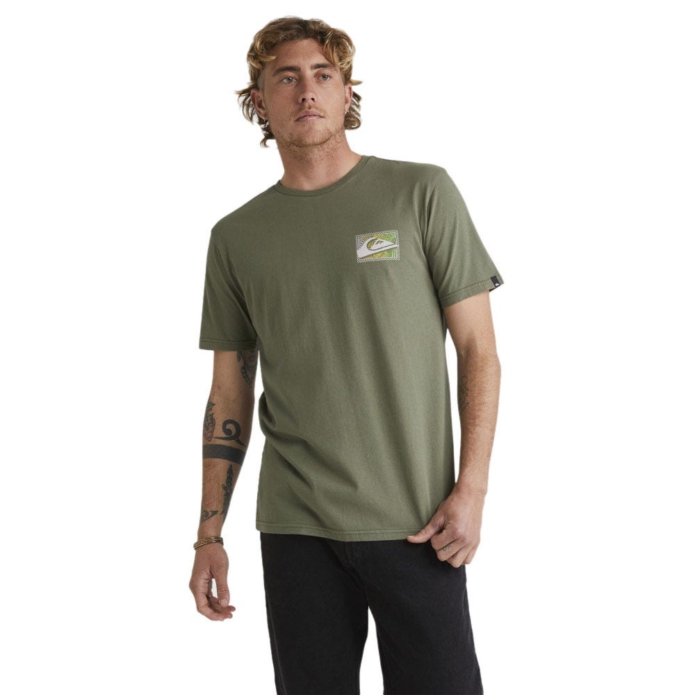 Quiksilver Mens Gradient Prints T-Shirt In Four Leaf Clover