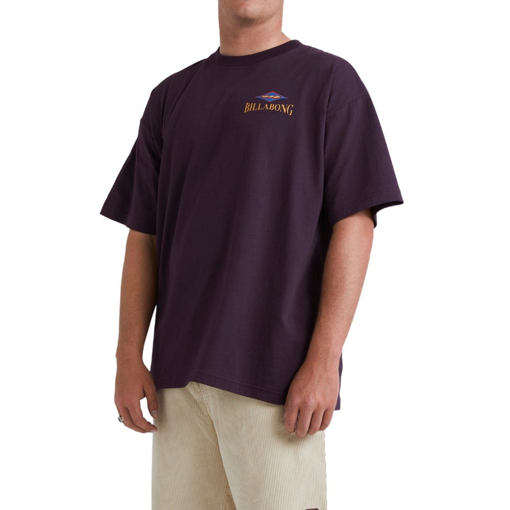 Billabong Mens Didge T-Shirt In Fig