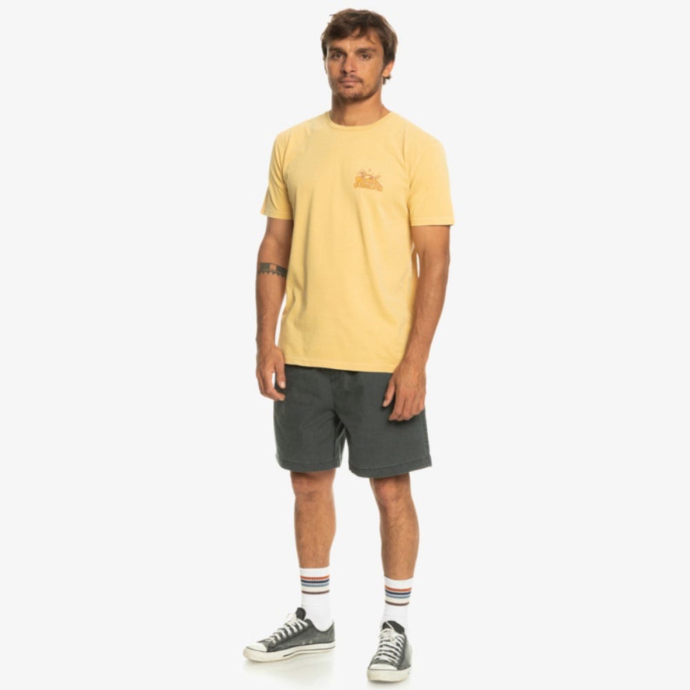 Quiksilver Mens Enjoy Not Destroy T-Shirt