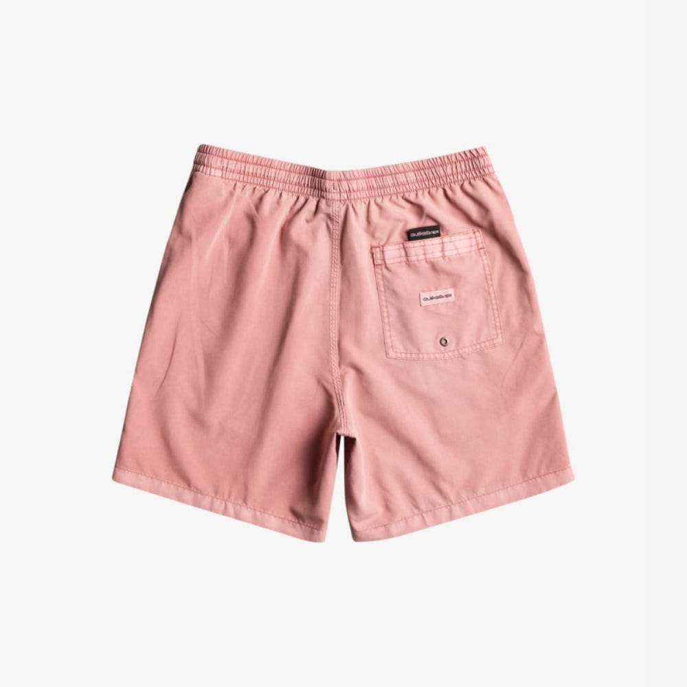 Quiksilver Mens Everyday Surfwash 17" Swim Shorts
