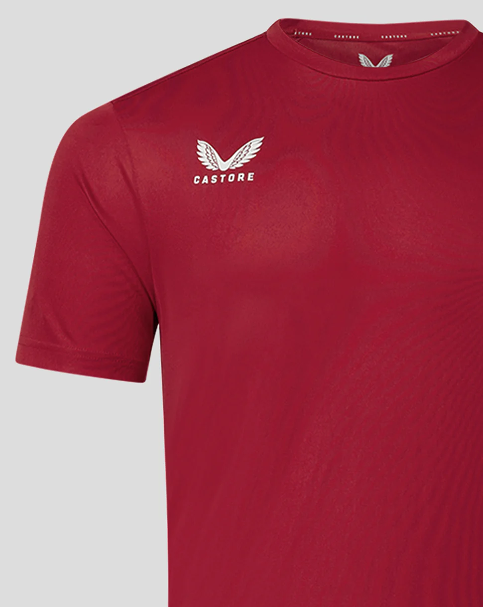 Mens Short Sleeve Training T-Shirt - Biking Red