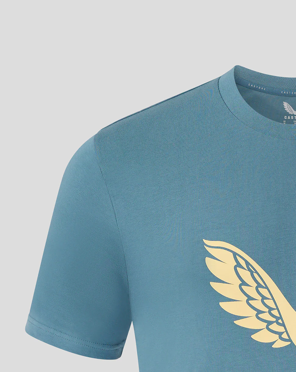 Mansfield Men's 24/25 Training Logo Tee - Light Blue