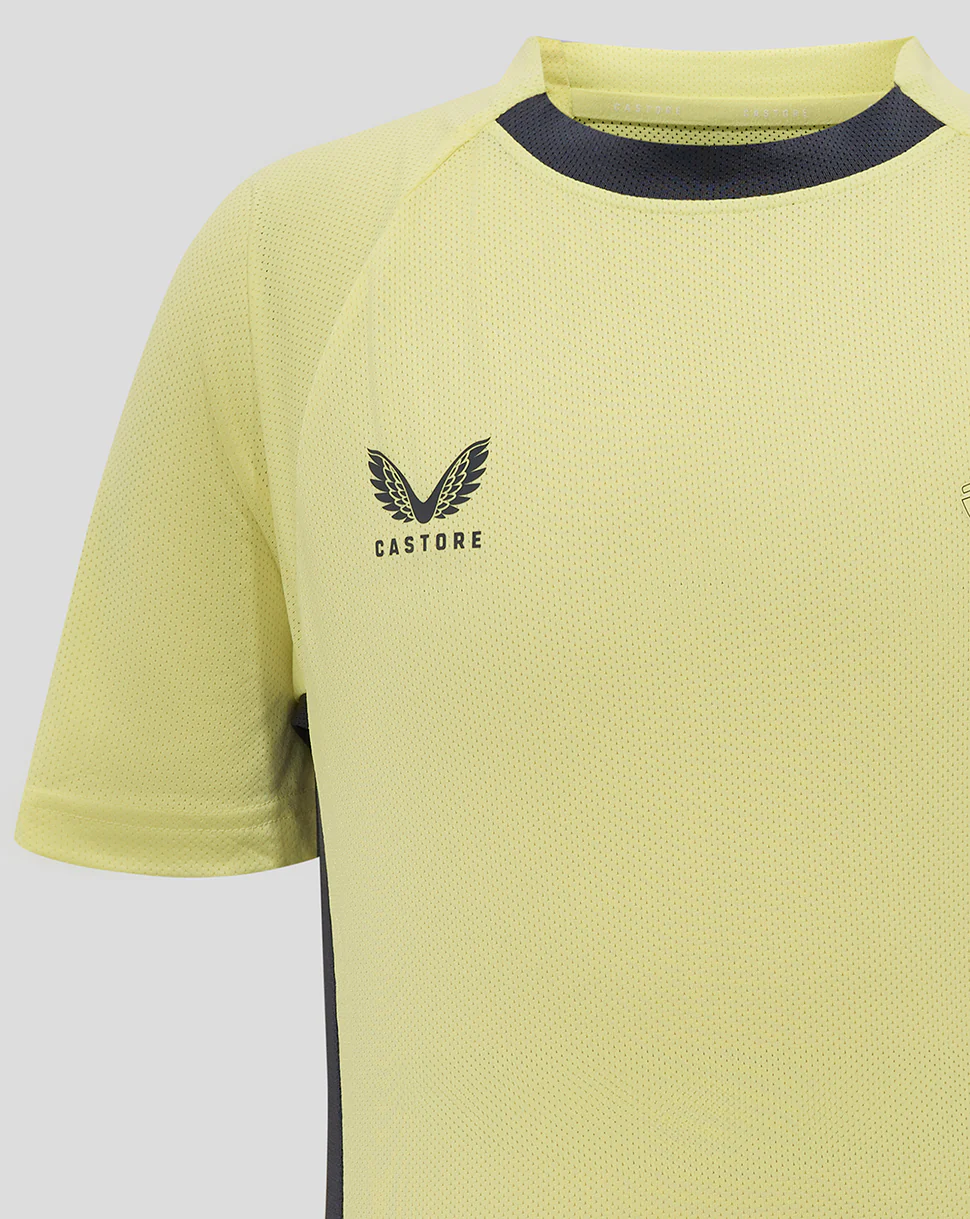 Everton 24/25 Junior Pro Players Training Tee