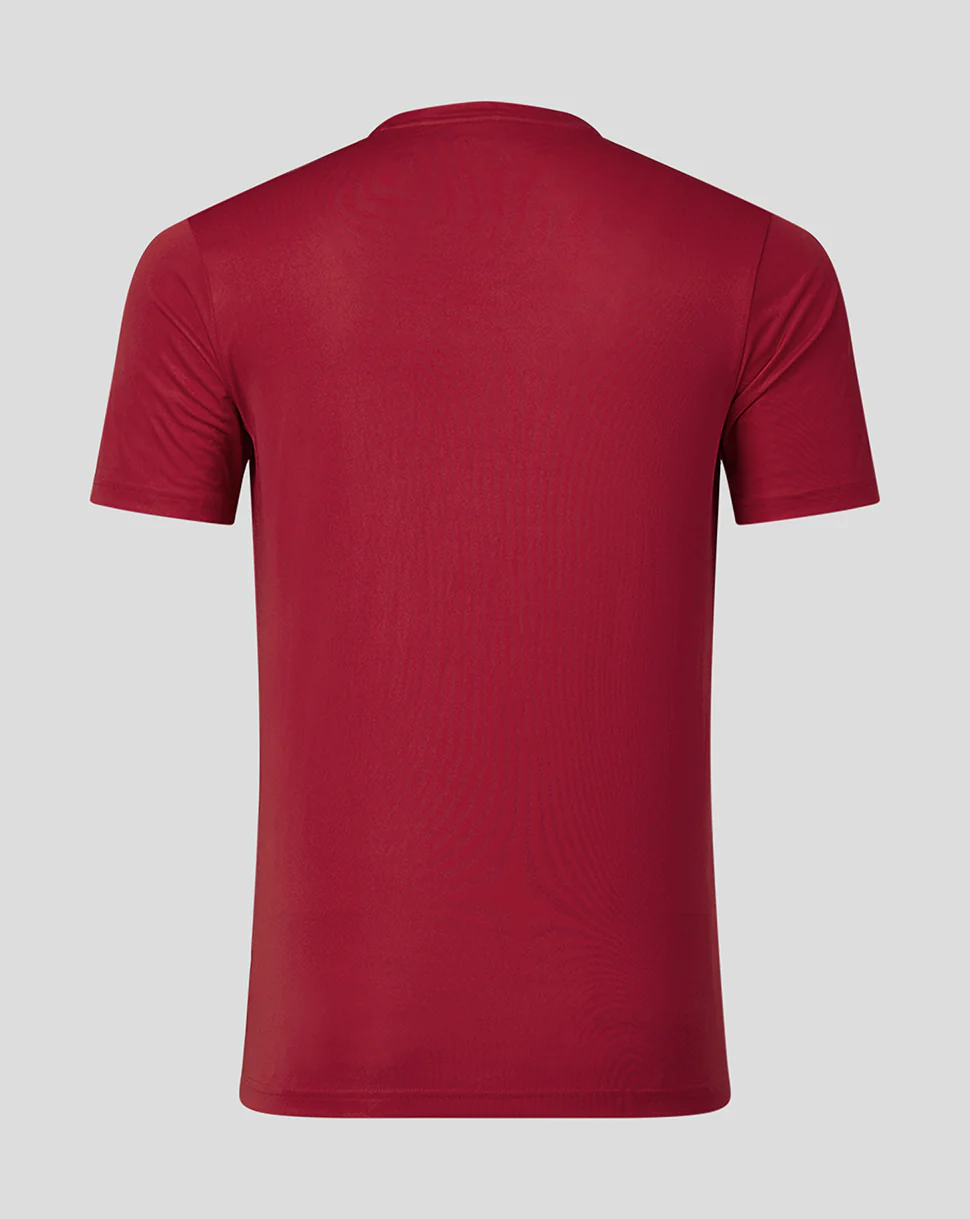Mens Short Sleeve Training T-Shirt - Biking Red