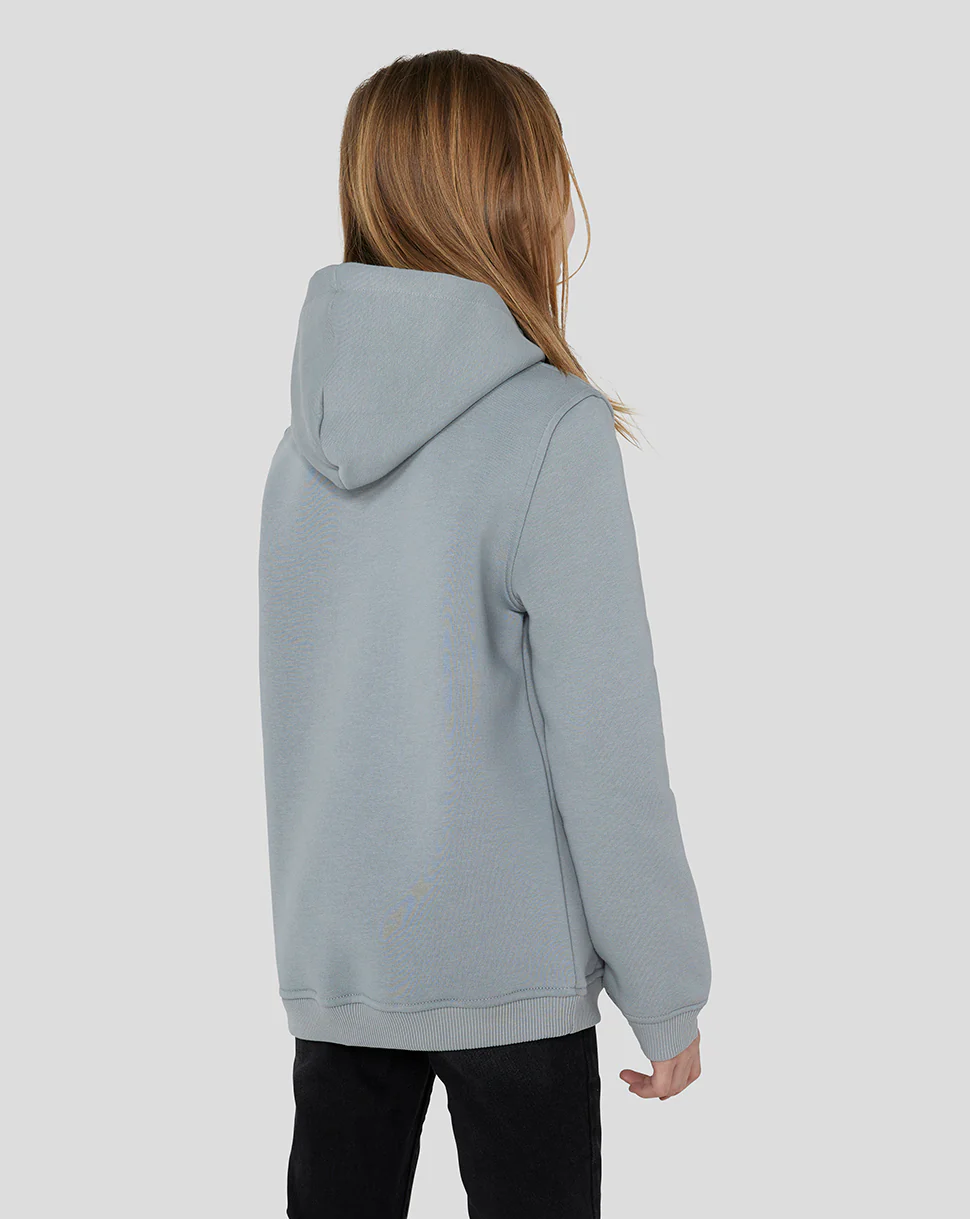 Oracle Red Bull Racing Junior Core Overhead Hoodie - Grey