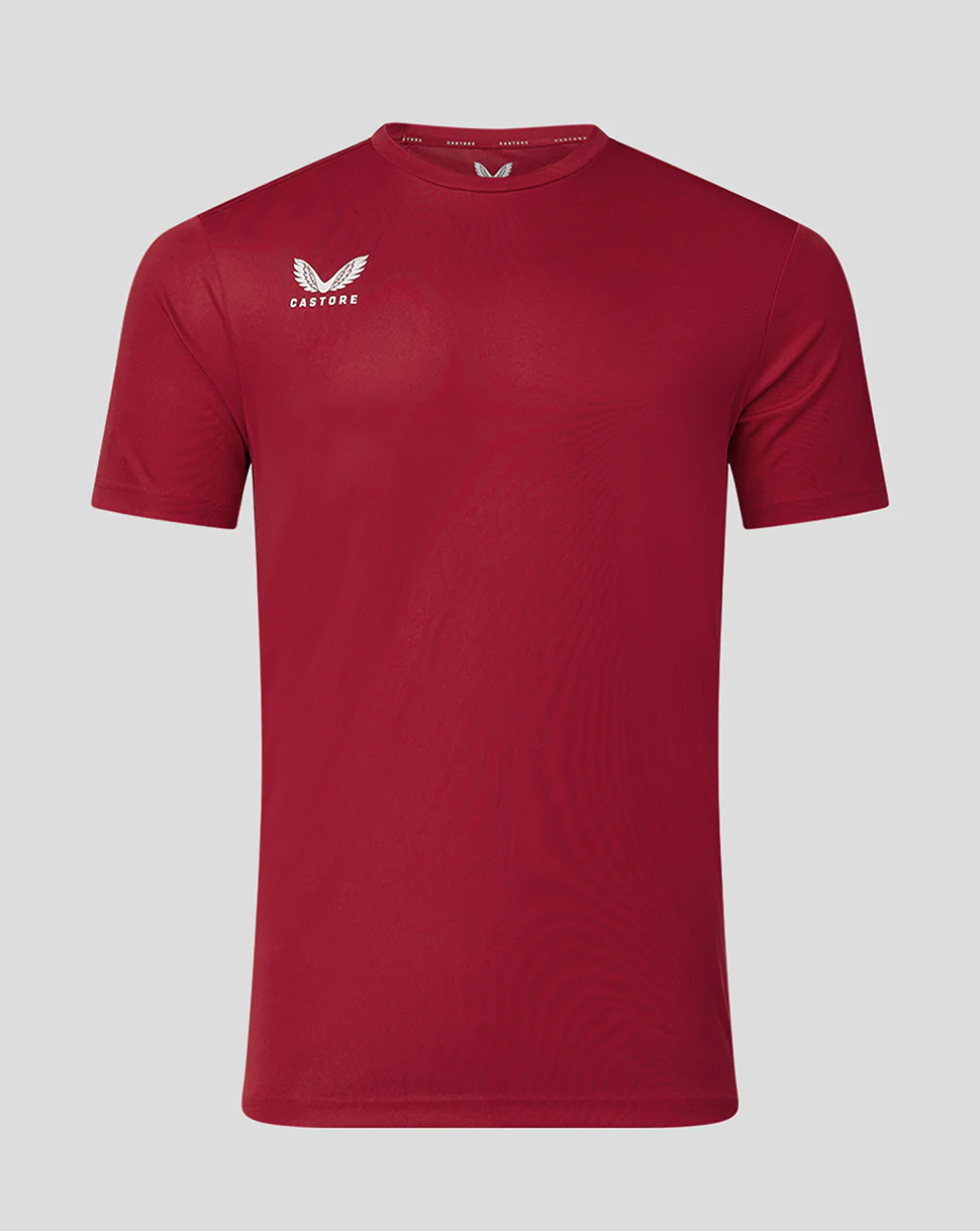 Mens Short Sleeve Training T-Shirt - Biking Red