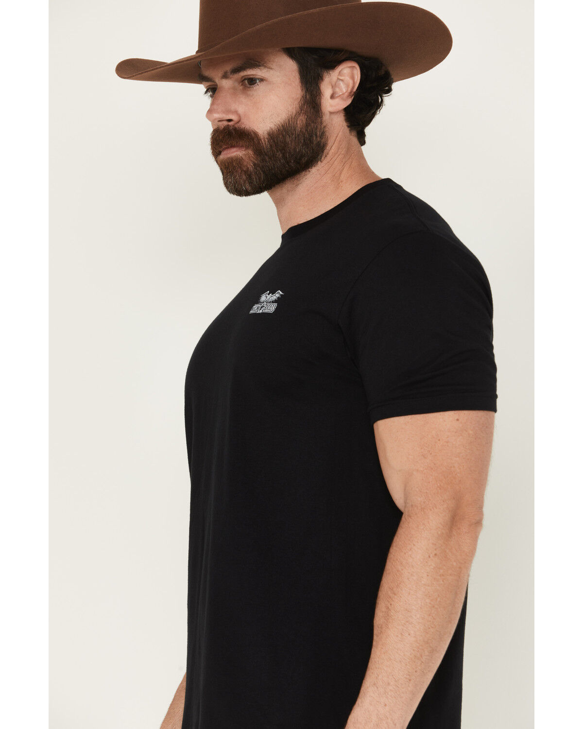 Kick Brass Men's Pledge Of Allegiance Short Sleeve Graphic T-Shirt