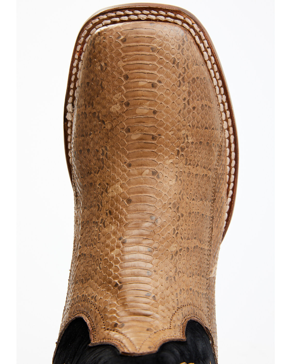 Dan Post Men's Taupe Water Snake Exotic Western Boots - Broad Square Toe