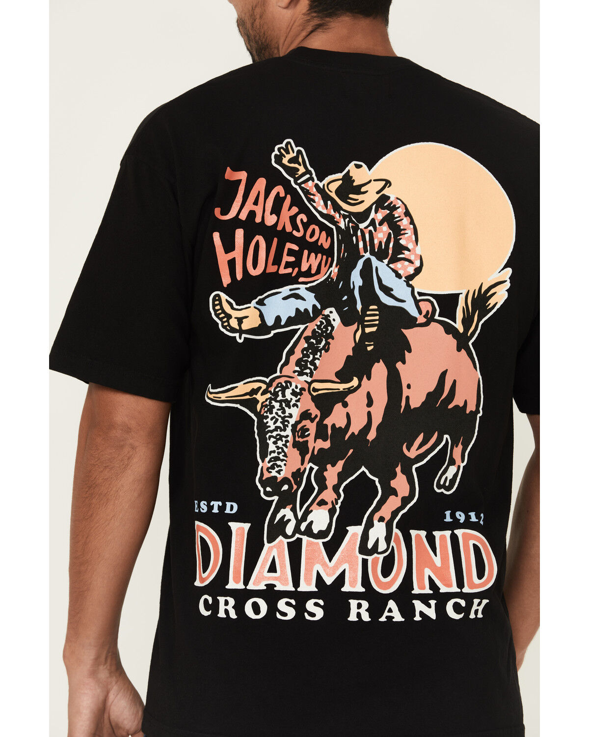 Diamond Cross Ranch Men's Sunshine Bull Ride Short Sleeve Graphic T-Shirt