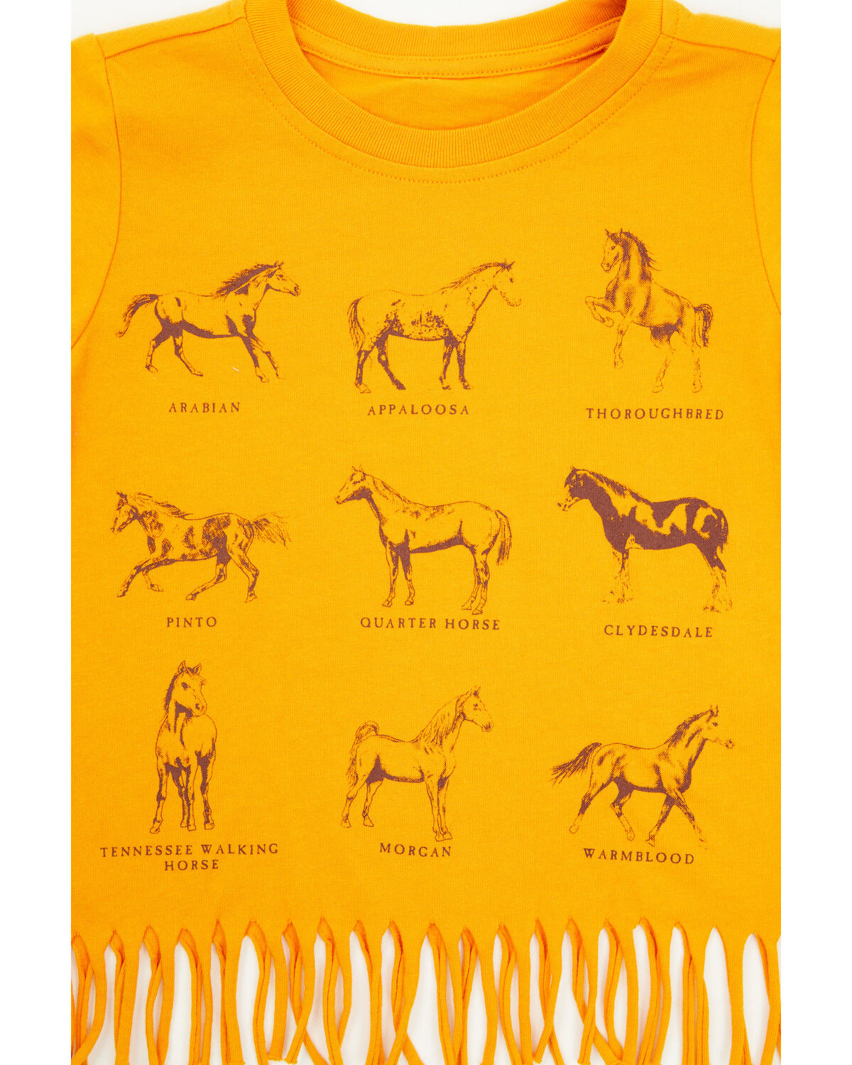 Shyanne Toddler Girls' Horse Breeds Fringe Short Sleeve Graphic Tee