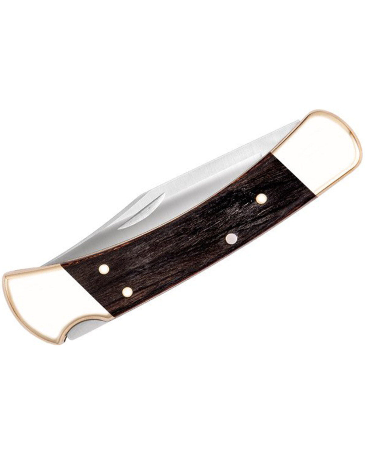 Buck Knives 110 Folding Hunter Knife