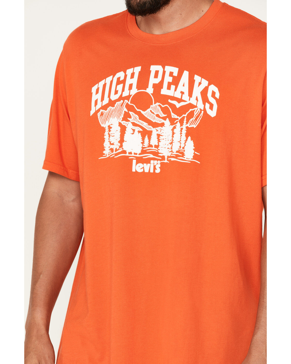 Levi's Men's High Peaks Logo Graphic T-Shirt