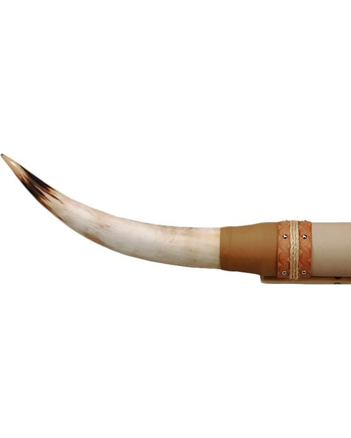 Authentic Large Steer Horns