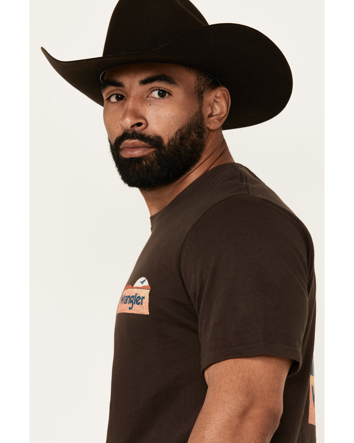 Wrangler Men's Boot Barn Exclusive Desert Scene Short Sleeve Graphic T-Shirt