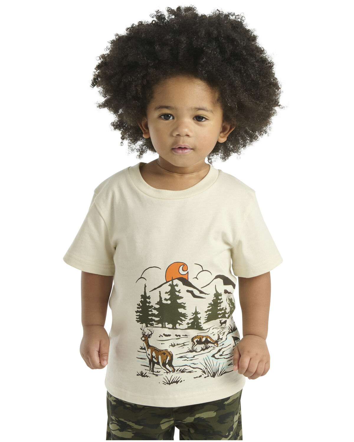 Carhartt Toddler Boys' Scenic Short Sleeve Graphic T-Shirt