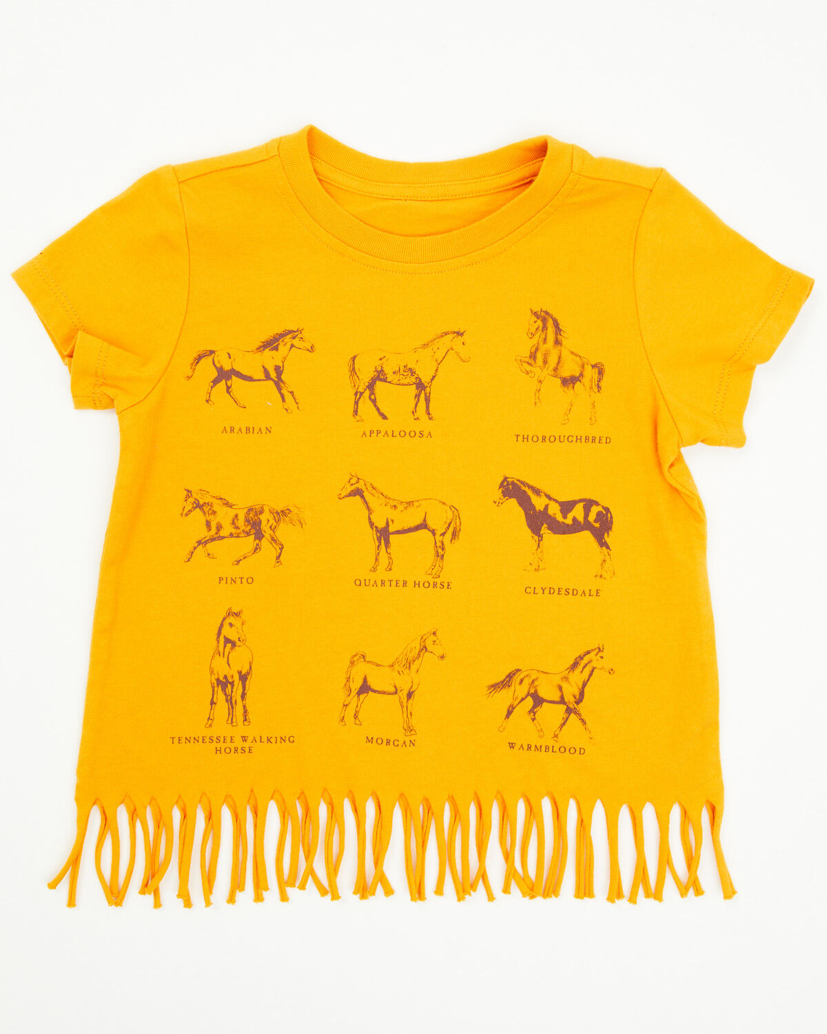 Shyanne Toddler Girls' Horse Breeds Fringe Short Sleeve Graphic Tee