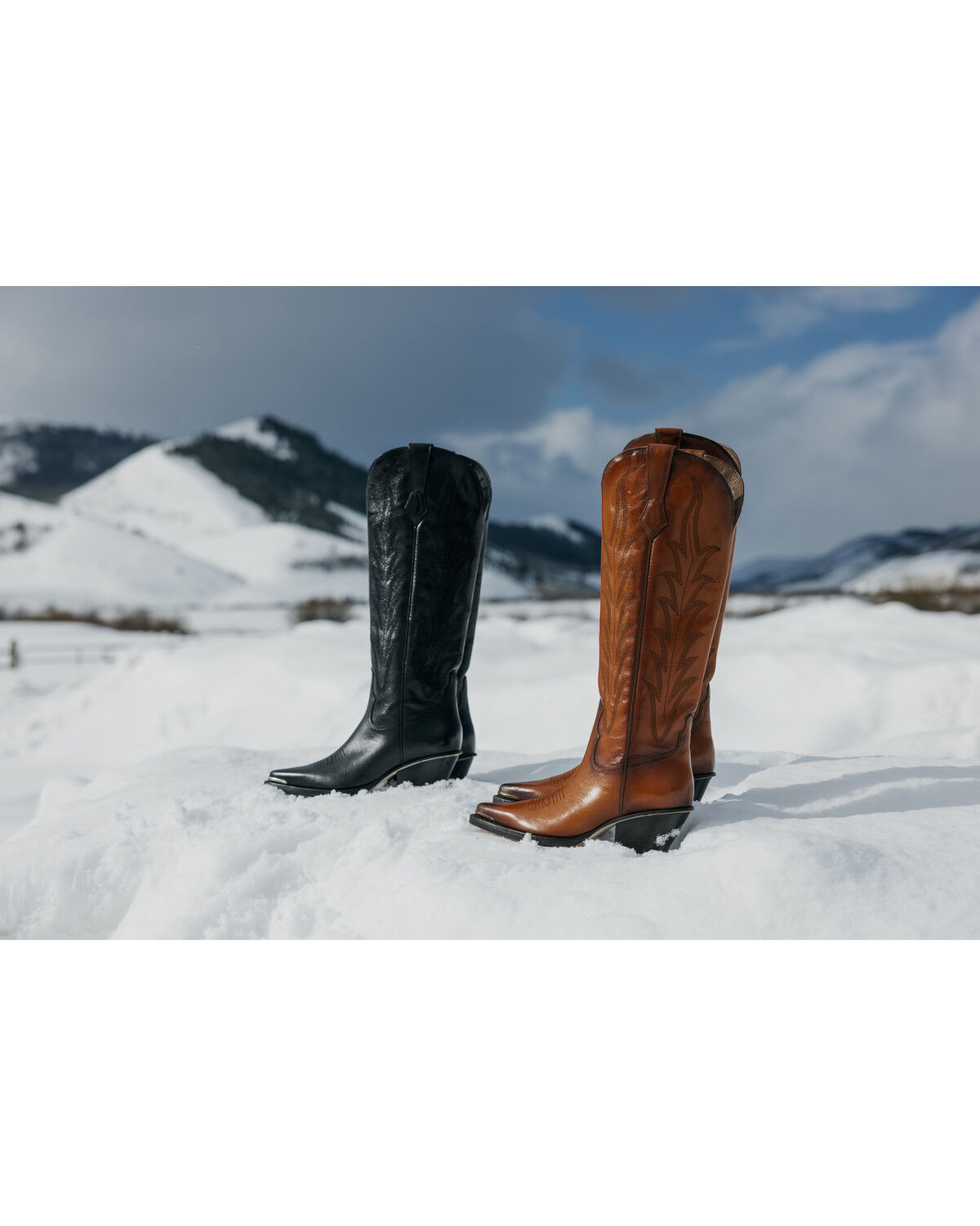 Wonderwest Women's Estilo Tall Western Boots - Snip Toe