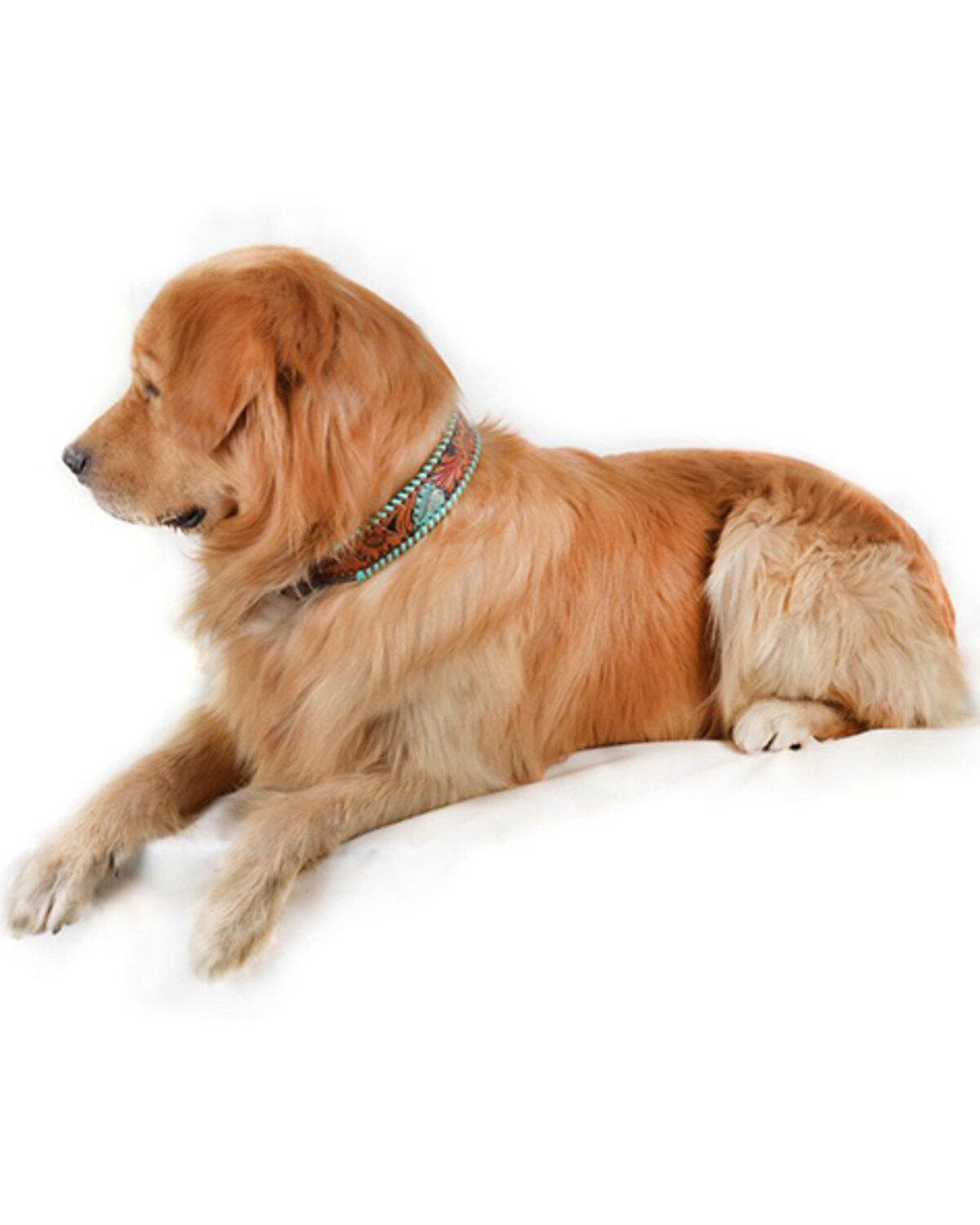 Myra Full Bloom Tooled Leather Dog Collar