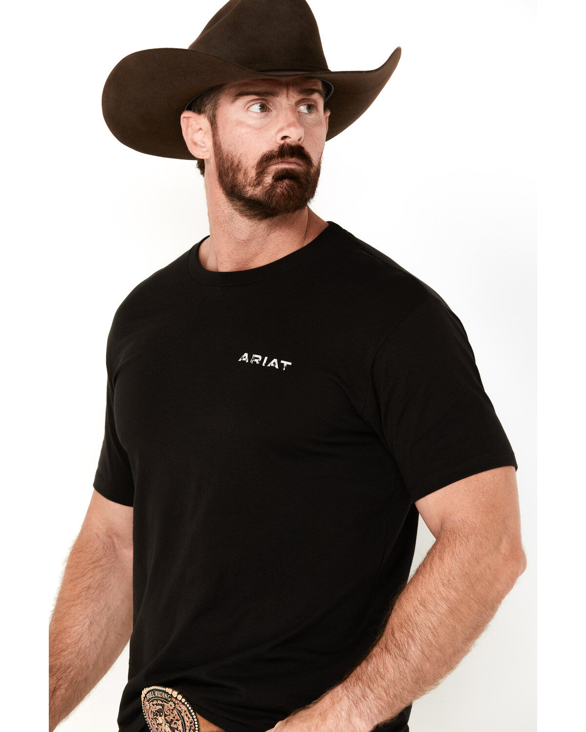 Ariat Men's Southwestern Logo Short Sleeve Graphic T-Shirt