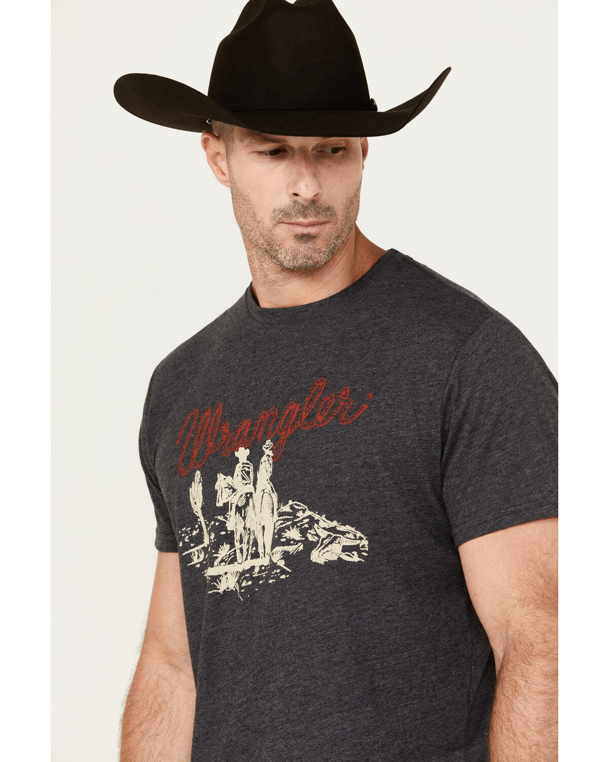 Wrangler Men's Scenic Logo Short Sleeve Graphic T-Shirt