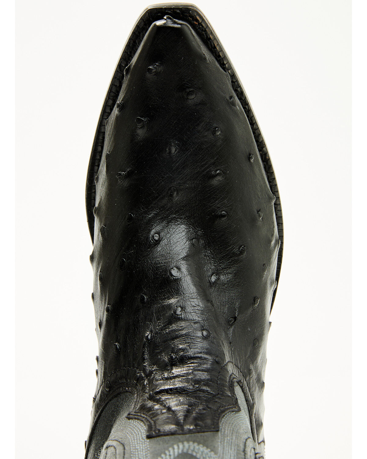 El Dorado Women's Camille Exotic Ostrich Tall Western Boots - Snip Toe