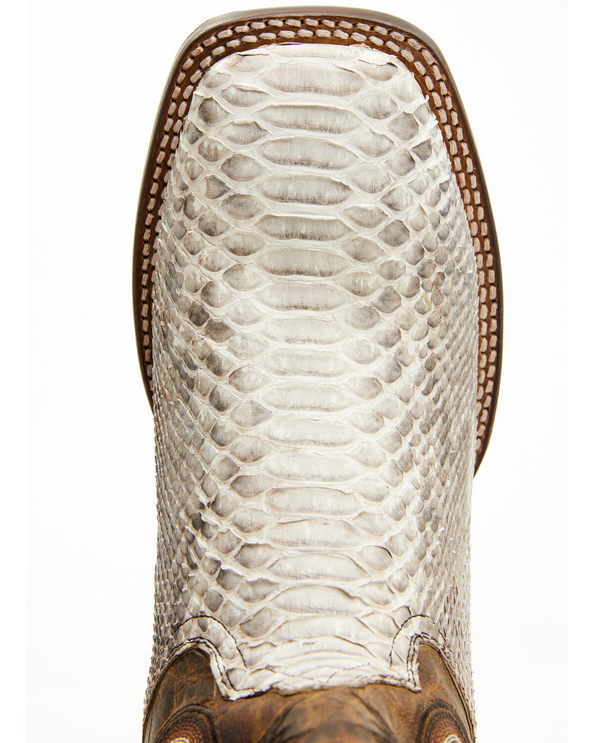Dan Post Men's Brutus Exotic Python Western Performance Boots - Broad Square Toe
