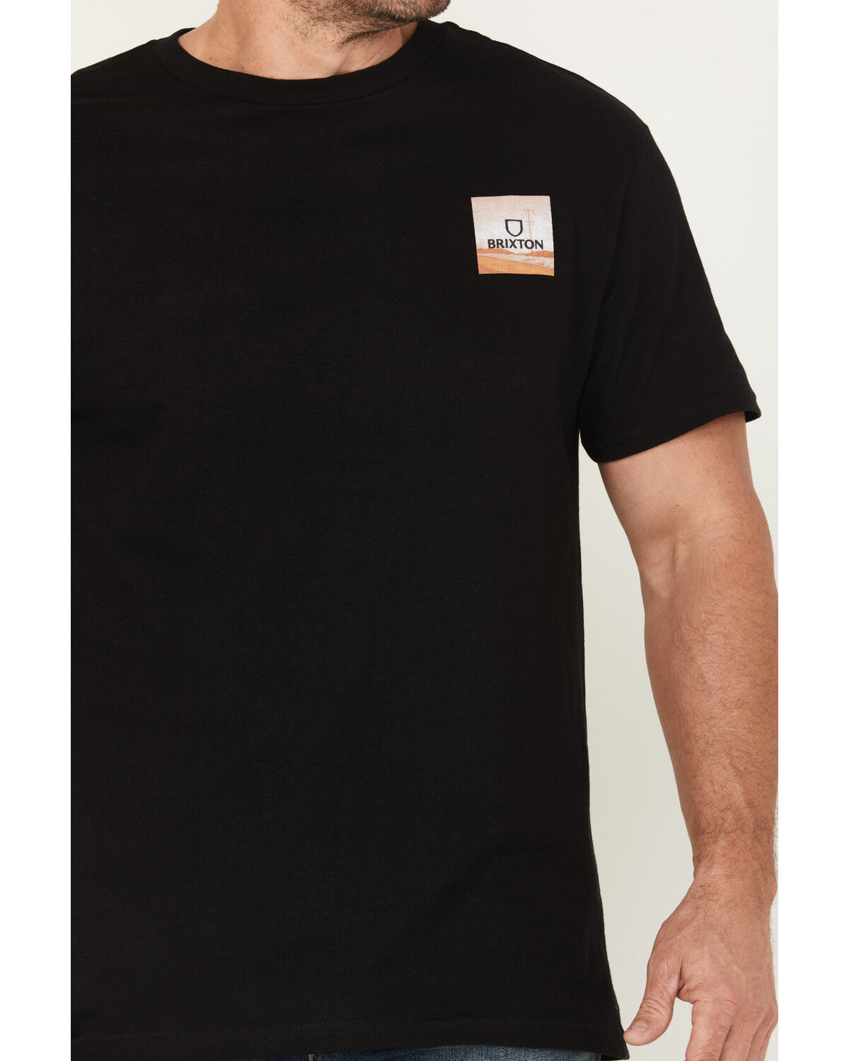 Brixton Men's Alpha Square Short Sleeve Graphic T-Shirt