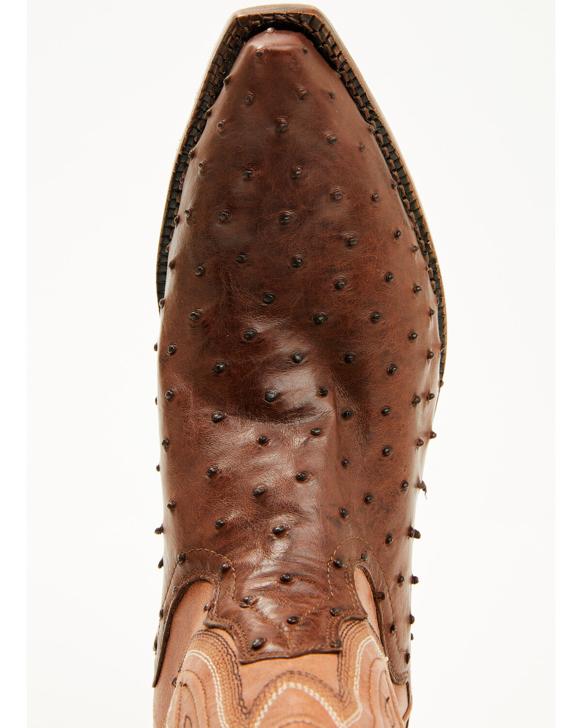 El Dorado Women's Camille Exotic Ostrich Tall Western Boots - Snip Toe