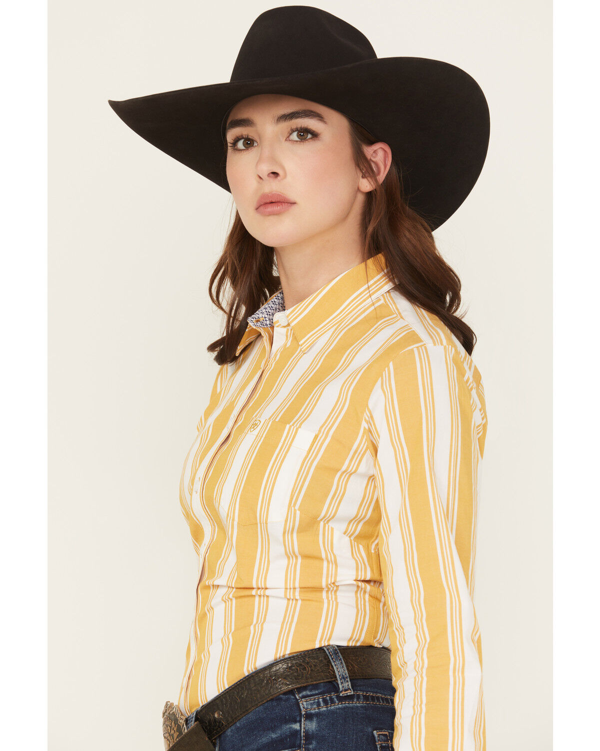 Ariat Women's Kirby Striped Print Long Sleeve Button-Down Stretch Western Shirt
