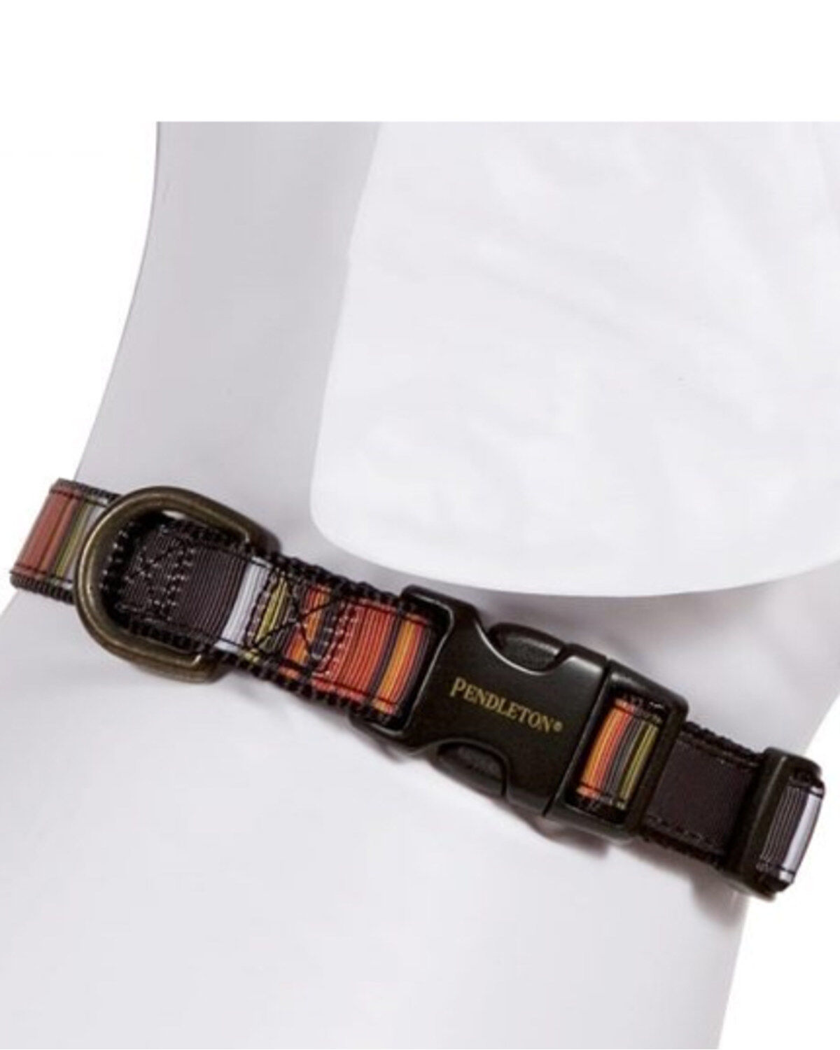 Pendleton Pet Acadia National Park Hiker Collar - Small