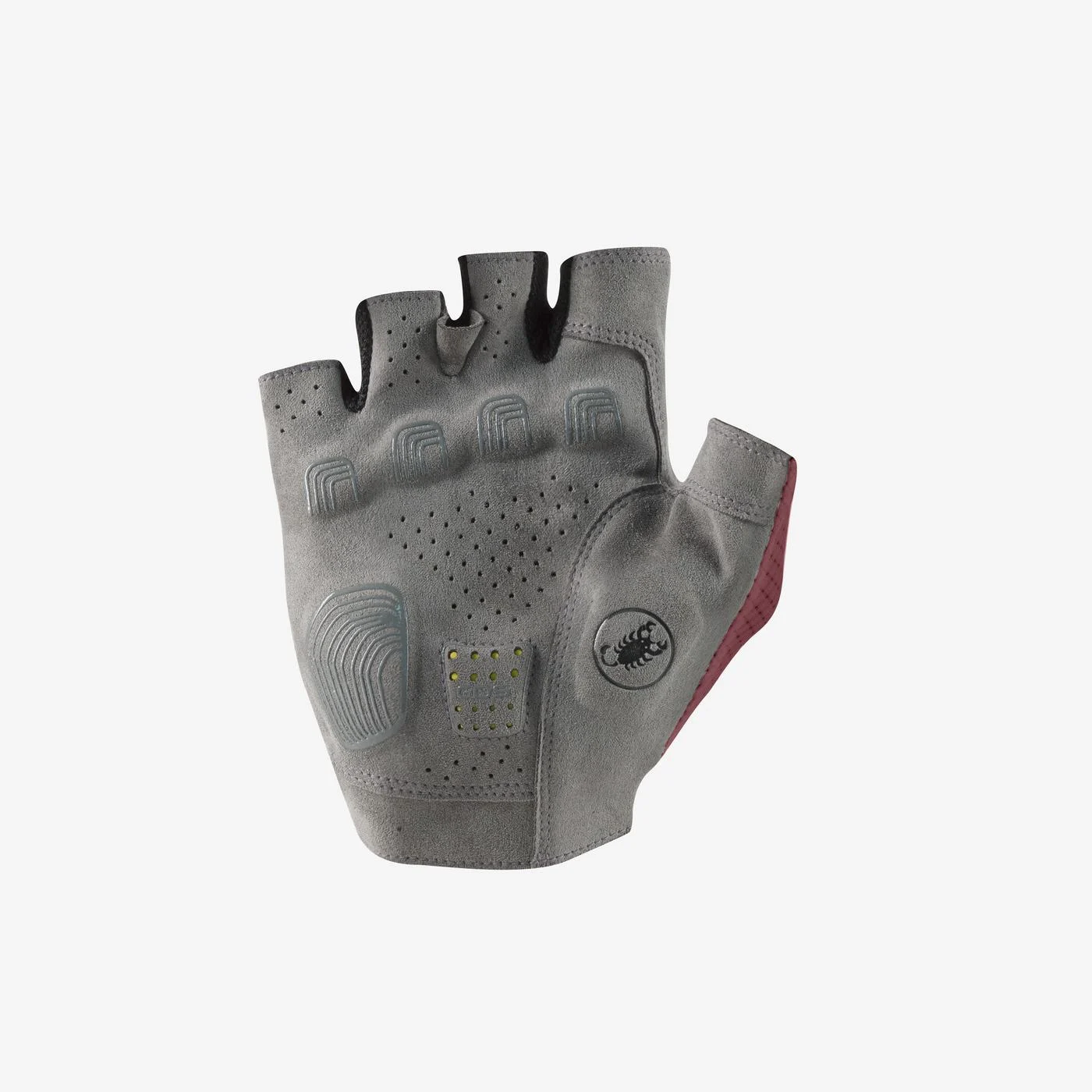 PREMIO EVO GLOVE