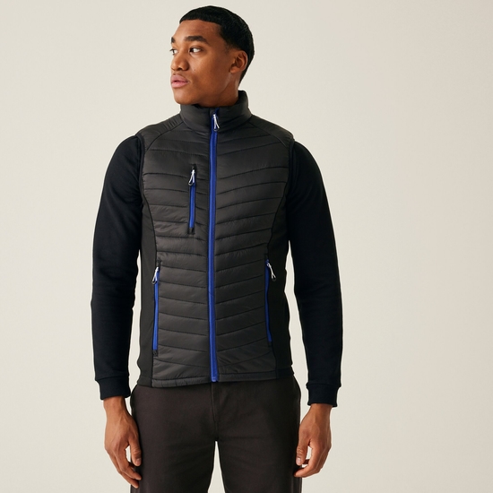 Men's Navigate Hybrid Bodywarmer | Black New Royal