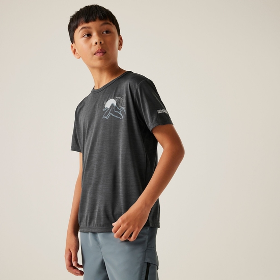 Kids' Alvarado IX T-Shirt | Seal Grey Marl