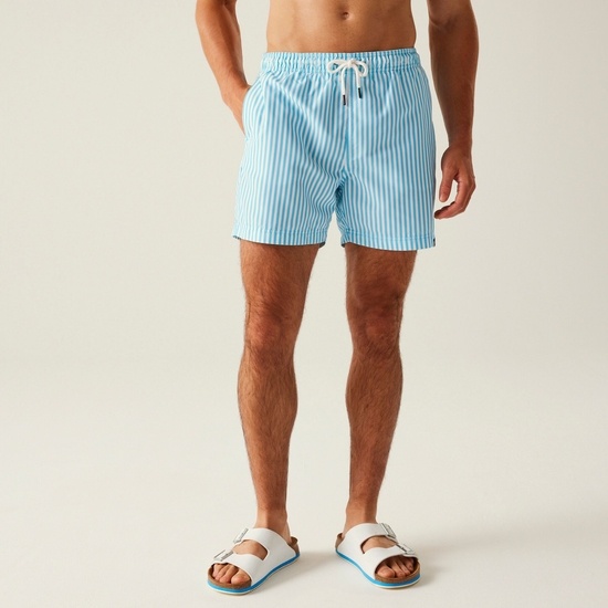 Men's Loras Swim Shorts | Aquarius Blue Stripe