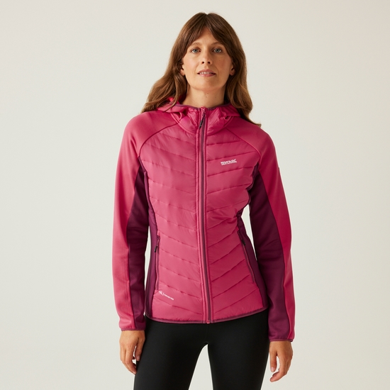 Women's Andreson VIII Hybrid Jacket | Pop/Beaujolais