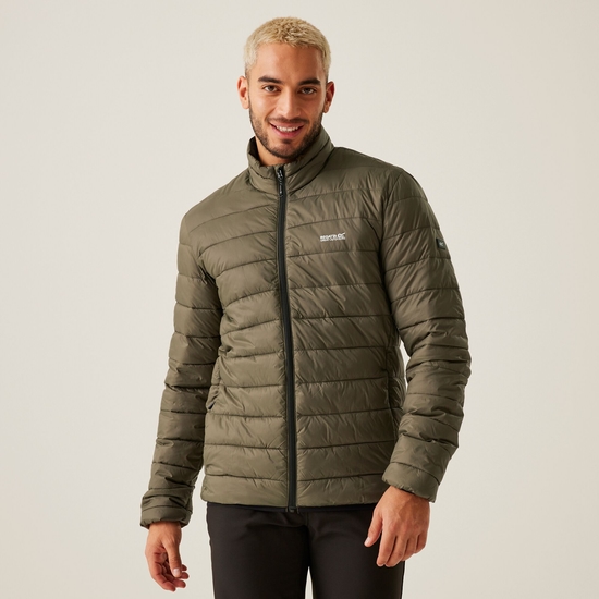 Men's Marizion Padded Jacket | Crocodile