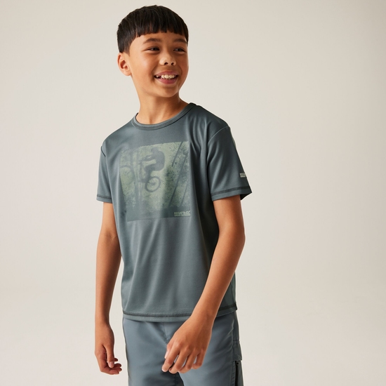 Kids' Alvarado IX T-Shirt | Stormy Weather