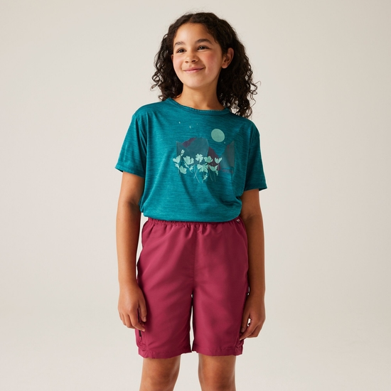 Kids' Alvarado IX T-Shirt | Exotic Plume Marl