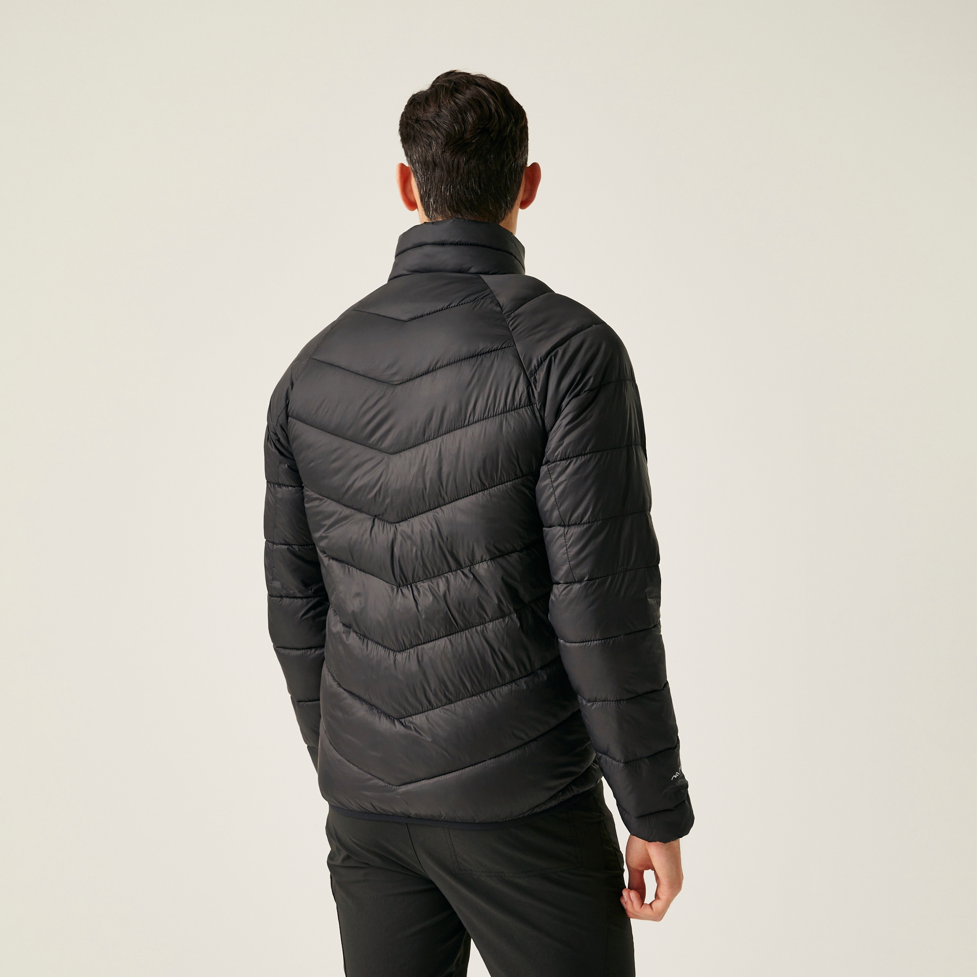 Men's Dalent Padded Jacket | Black