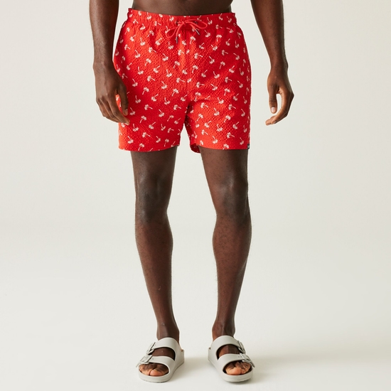 Men's Loras Swim Shorts | Poppy Red Palm Seersucker Co-Ord