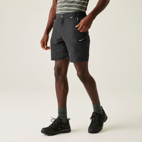 Men's Leesville III Walking Shorts | Ash