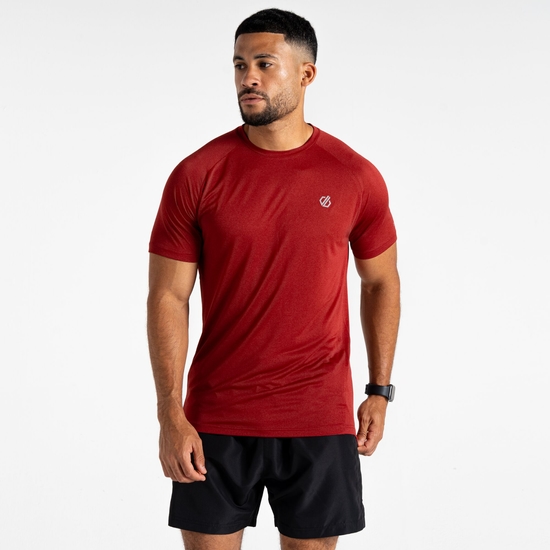 Men's Accelerate Fitness T-Shirt | Danger Red